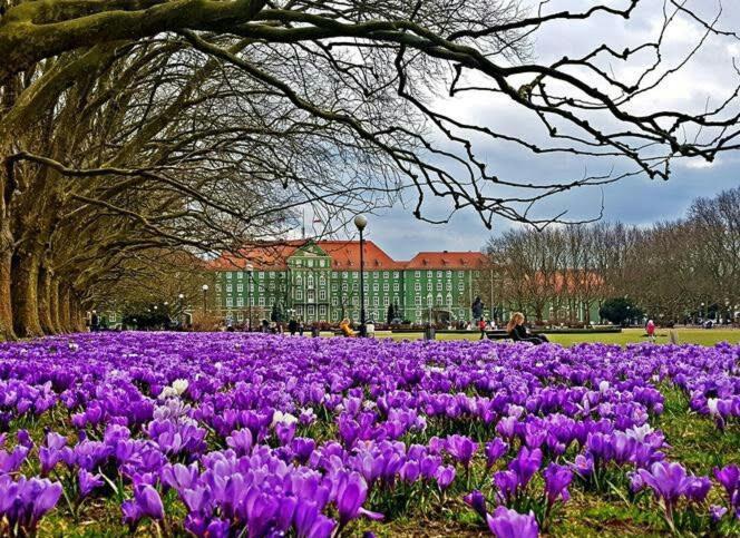 Przytulny Apartament Szczecin Ngoại thất bức ảnh